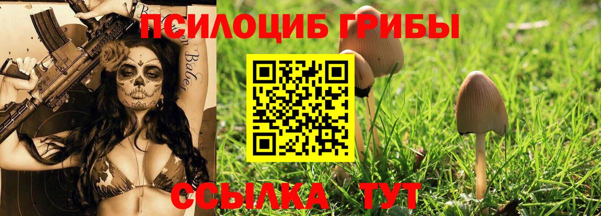 Псилоцибиновые грибы Cubensis Ялта