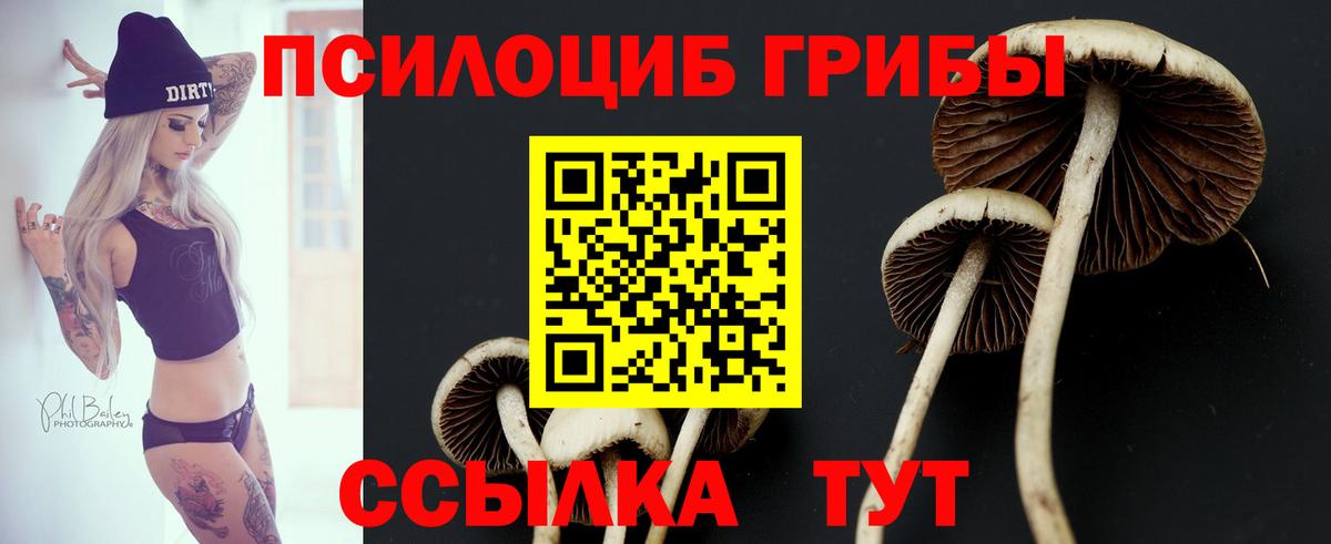 Псилоцибиновые грибы Psilocybine cubensis  Псилоцибиновые грибы GOLDEN TEACHER  Вход с VPN  Ялта 